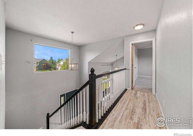 3281 Belmont Ct, Wellington, CO 80549 - photo 11