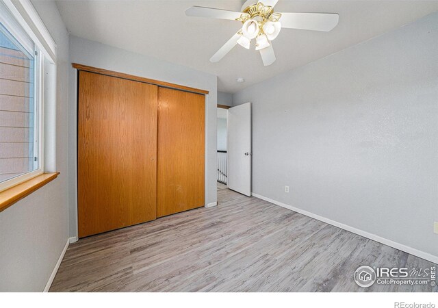 3281 Belmont Ct, Wellington, CO 80549 - photo 19