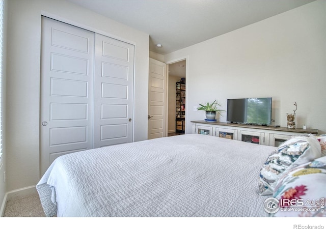 2942 Merlin Dr, Brighton, CO 80601 - photo 26