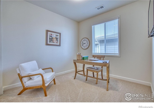 2942 Merlin Dr, Brighton, CO 80601 - photo 23