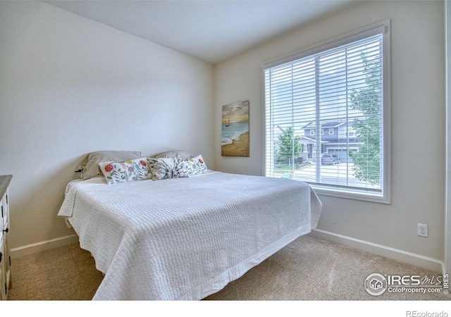 2942 Merlin Dr, Brighton, CO 80601 - photo 25