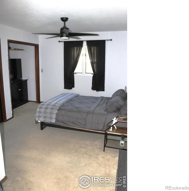 308 Prospect St, Fort Morgan, CO 80701 - bedroom with light carpet