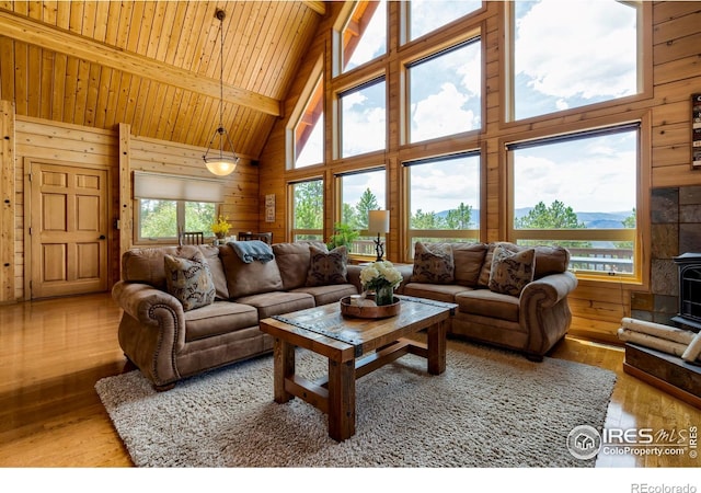 53 Rocky Vista Ct, Livermore, CO 80536 - photo 5