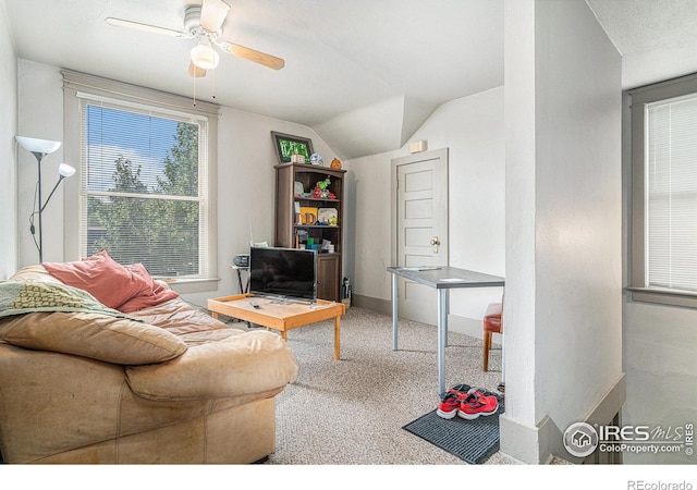 1204 N Lincoln Ave, Loveland, CO 80537 - photo 15