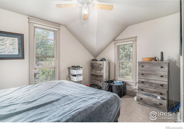 1204 N Lincoln Ave, Loveland, CO 80537 - photo 16