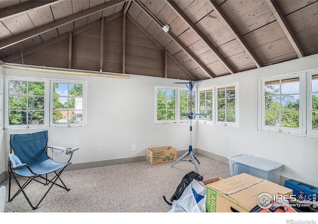 1204 N Lincoln Ave, Loveland, CO 80537 - photo 18