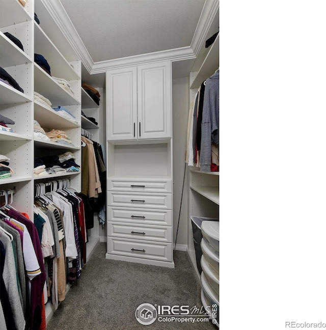 15958 Humboldt Peak Dr, Broomfield, CO 80023 - walk in closet with dark colored carpet