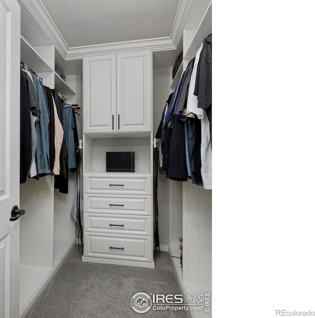 15958 Humboldt Peak Dr, Broomfield, CO 80023 - spacious closet featuring carpet floors