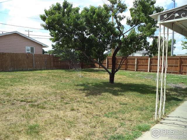 401 31st Ave, Greeley, CO 80634 - view of fenced backyard