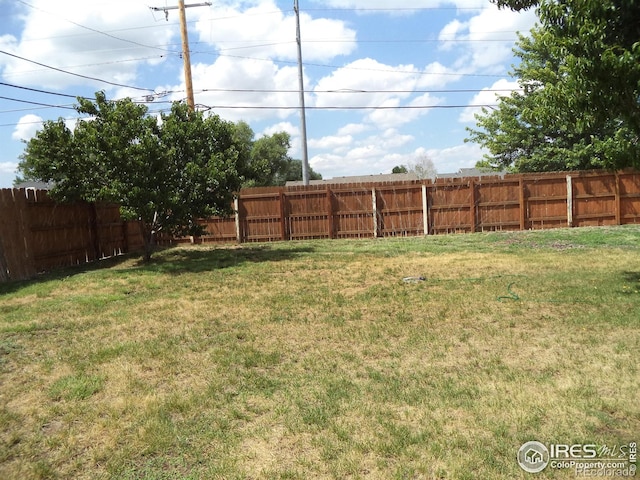 401 31st Ave, Greeley, CO 80634 - view of fenced backyard