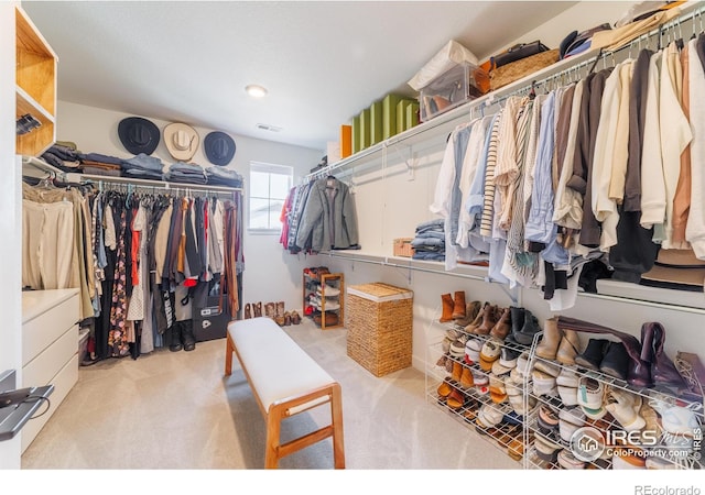 4918 Preserve Pl, Firestone, CO 80504 - spacious closet featuring carpet floors