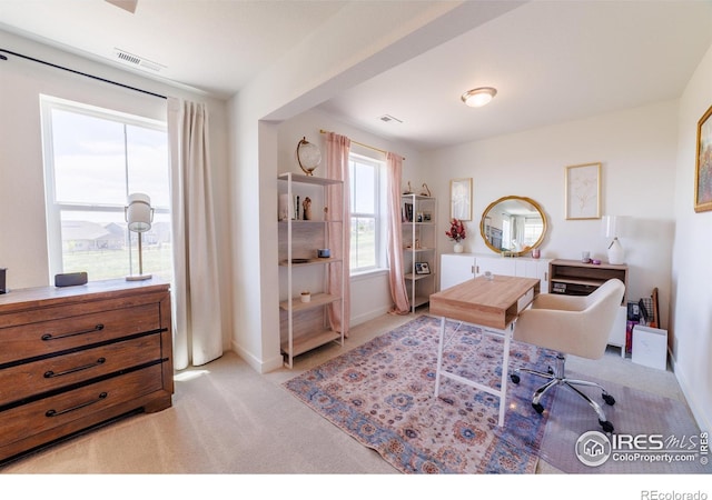 4918 Preserve Pl, Firestone, CO 80504 - office featuring light colored carpet and baseboards
