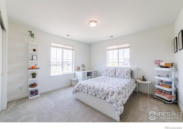 4918 Preserve Pl, Firestone, CO 80504 - photo 29