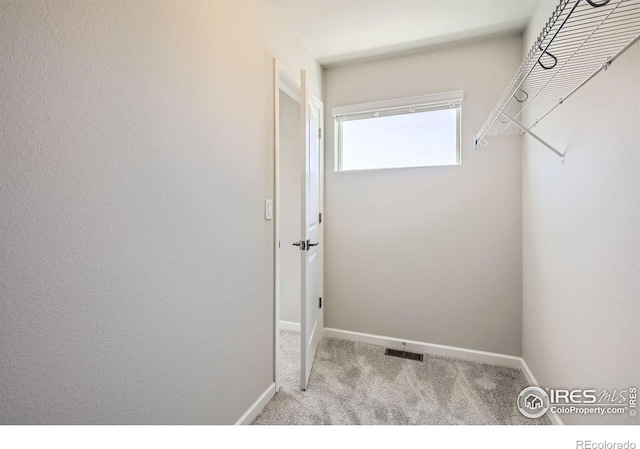 2344 Walbridge Rd, Fort Collins, CO 80524 - photo 20