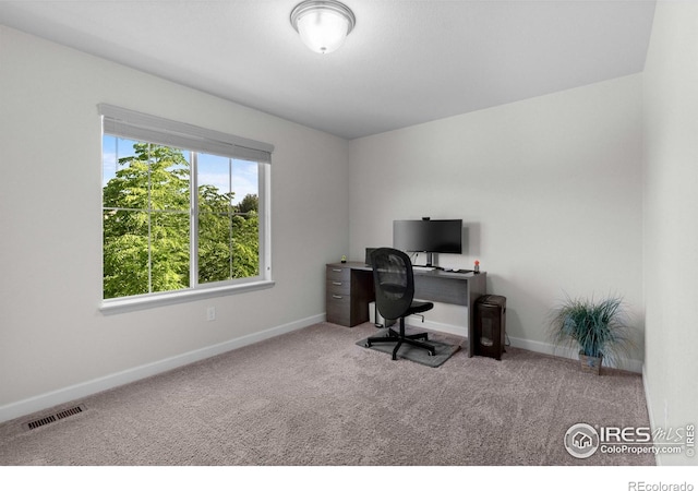1365 15th Ave, Longmont, CO 80501 - carpeted office featuring baseboards