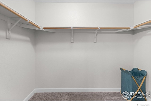 1365 15th Ave, Longmont, CO 80501 - spacious closet featuring carpet flooring