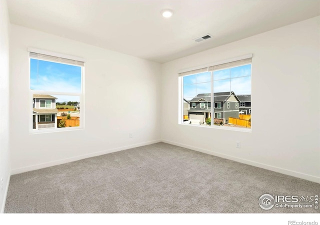 3713 Catmint St, Wellington, CO 80549 - photo 16