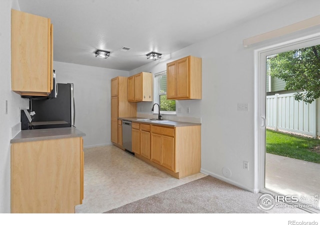 802 Waterglen Dr Unit 42, Fort Collins, CO 80524 - photo 12