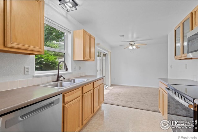 802 Waterglen Dr Unit 42, Fort Collins, CO 80524 - photo 15