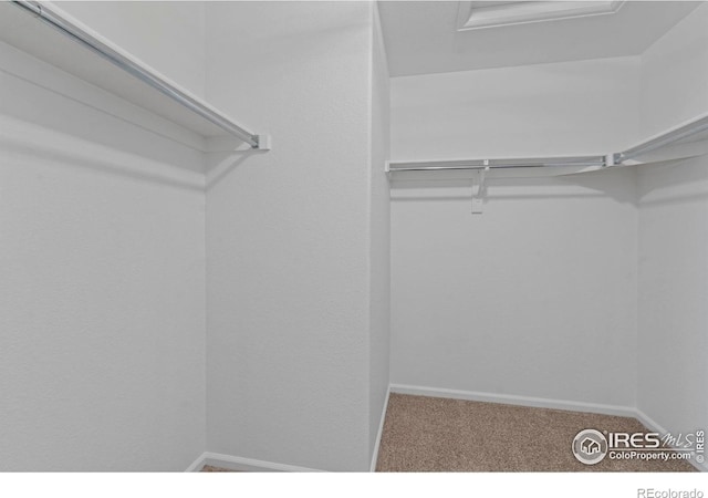 802 Waterglen Dr Unit 42, Fort Collins, CO 80524 - photo 25