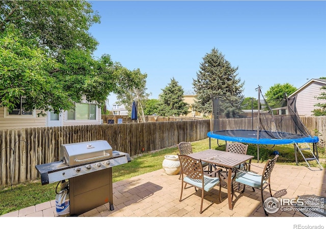 1747 Daisy Ct, Brighton, CO 80601 - fenced backyard featuring a trampoline, a patio area, a grill, and outdoor dining area