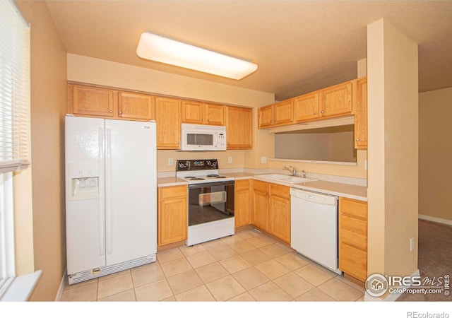 805 Summer Hawk Dr Unit B7, Longmont, CO 80504 - photo 6