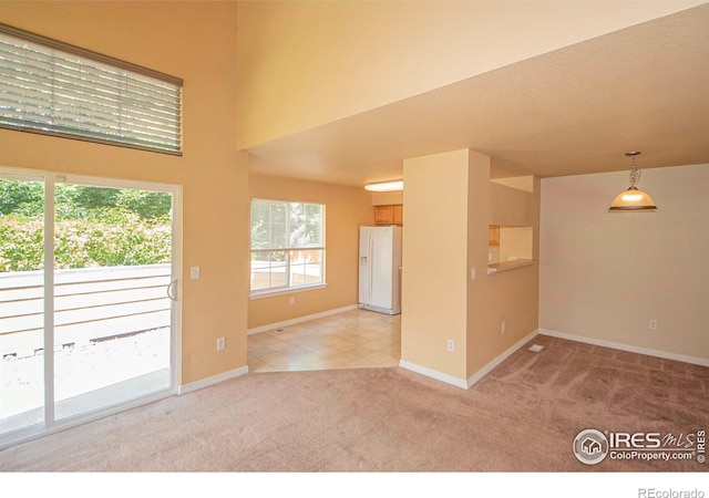 805 Summer Hawk Dr Unit B7, Longmont, CO 80504 - photo 5