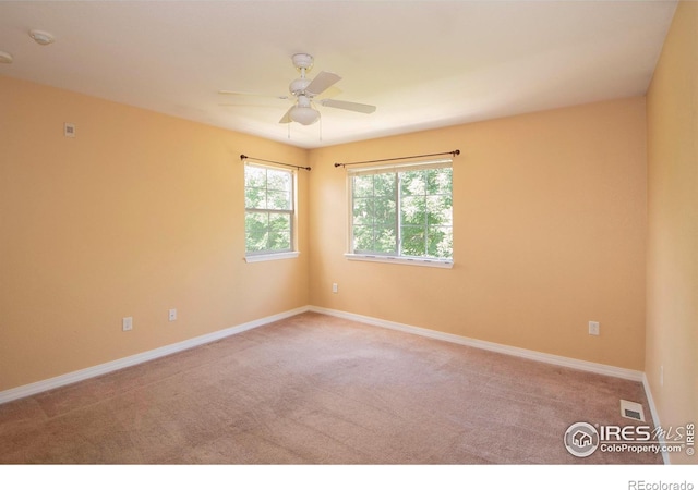 805 Summer Hawk Dr Unit B7, Longmont, CO 80504 - photo 9