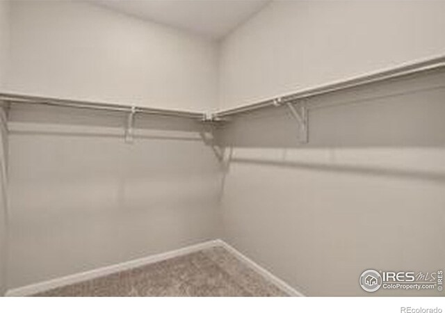 173 Ambrose St, Erie, CO 80516 - photo 13