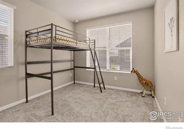 173 Ambrose St, Erie, CO 80516 - photo 19