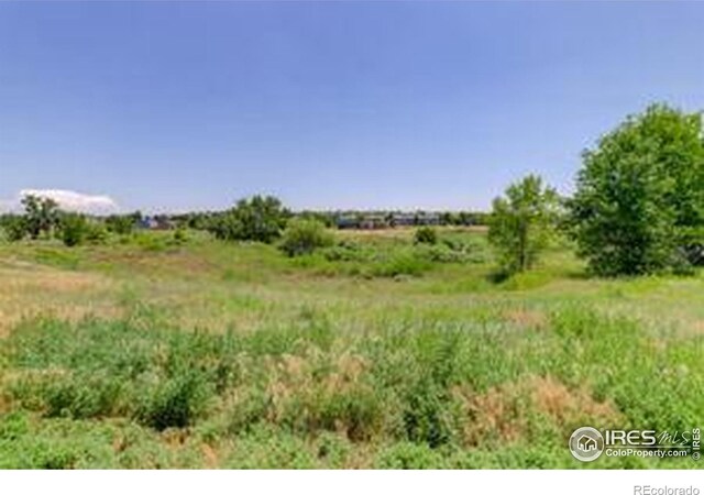 173 Ambrose St, Erie, CO 80516 - photo 28