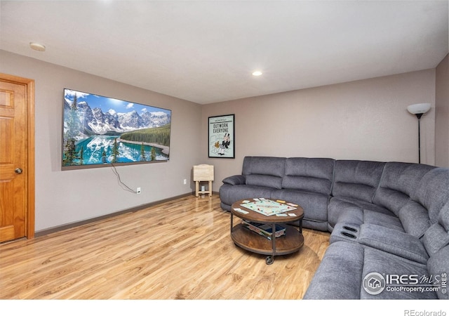 904 Pine Dr, Windsor, CO 80550 - living area featuring wood finished floors and recessed lighting