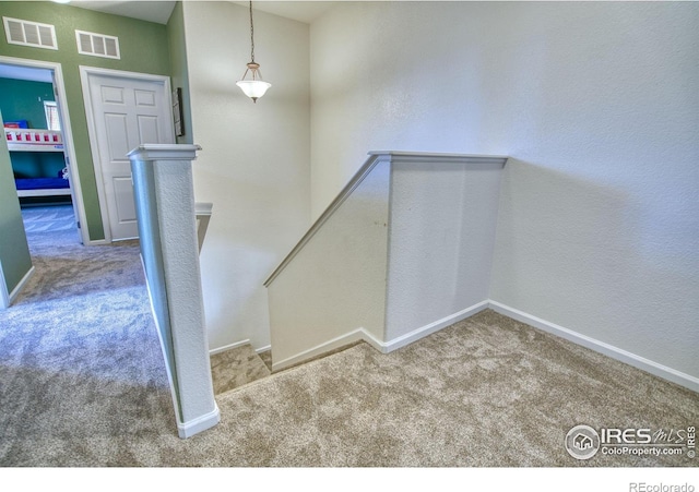 4956 Shenandoah Ave, Firestone, CO 80504 - photo 14