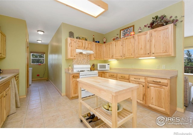 409 Okmulgee Cir, Red Feather Lakes, CO 80545 - photo 6