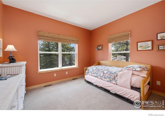 409 Okmulgee Cir, Red Feather Lakes, CO 80545 - photo 22