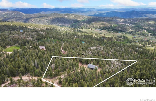 409 Okmulgee Cir, Red Feather Lakes, CO 80545 - photo 30