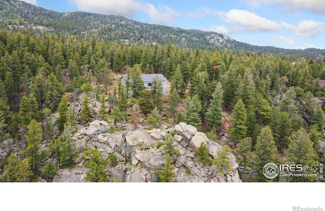 409 Okmulgee Cir, Red Feather Lakes, CO 80545 - photo 34