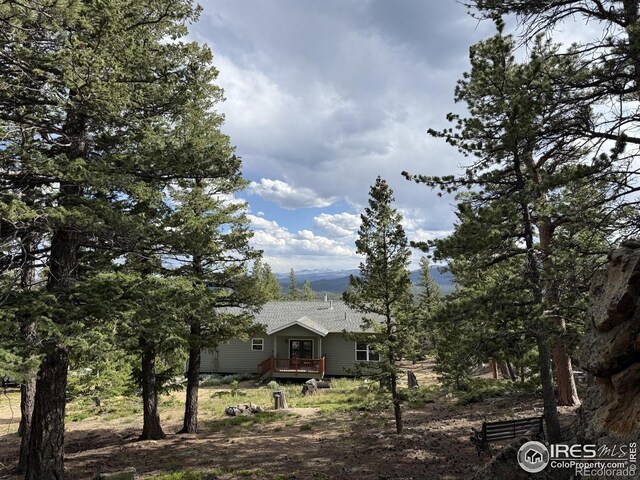 409 Okmulgee Cir, Red Feather Lakes, CO 80545 - photo 39