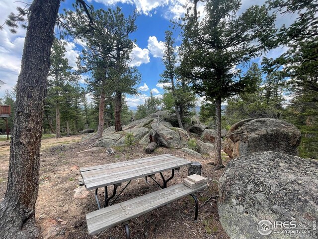 409 Okmulgee Cir, Red Feather Lakes, CO 80545 - photo 28
