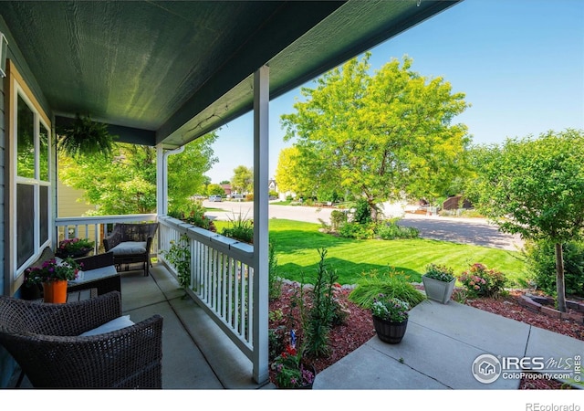 253 Buckeye Ave, Eaton, CO 80615 - photo 5