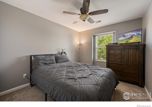 253 Buckeye Ave, Eaton, CO 80615 - photo 18