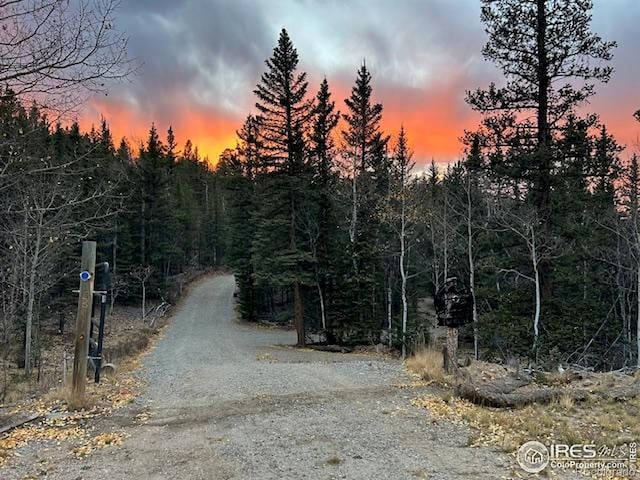243 Bear Way, Jefferson, CO 80456 - photo 1