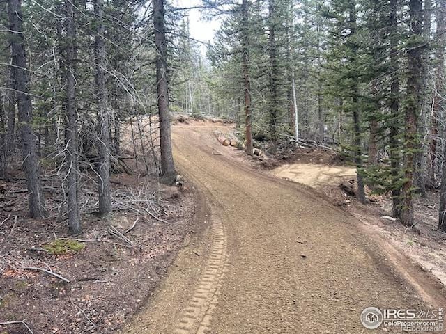 243 Bear Way, Jefferson, CO 80456 - photo 3