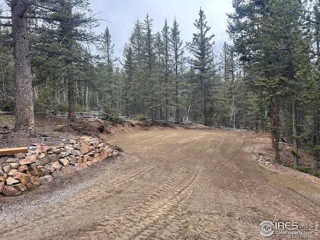 243 Bear Way, Jefferson, CO 80456 - photo 4