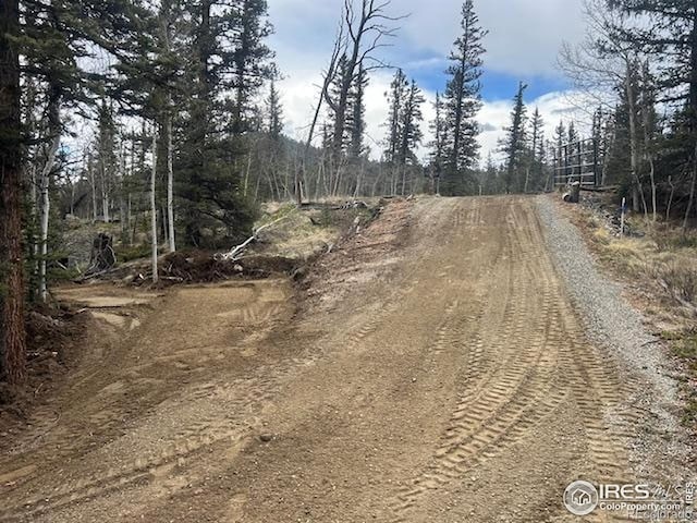 243 Bear Way, Jefferson, CO 80456 - photo 7