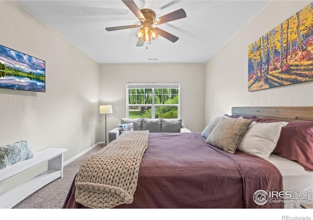 5225 White Willow Dr Unit 120, Fort Collins, CO 80528 - photo 17