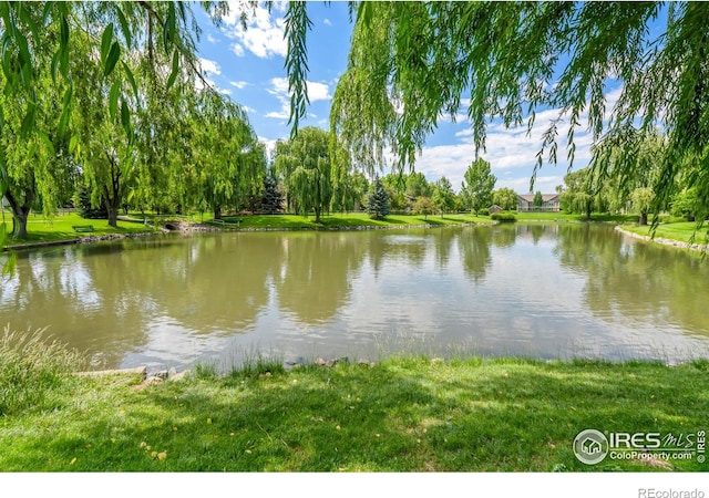 5225 White Willow Dr Unit 120, Fort Collins, CO 80528 - photo 38