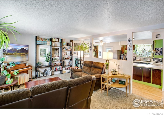 903 3rd St, Pierce, CO 80650 - photo 4