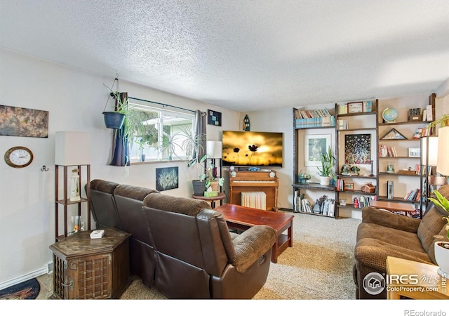 903 3rd St, Pierce, CO 80650 - photo 5