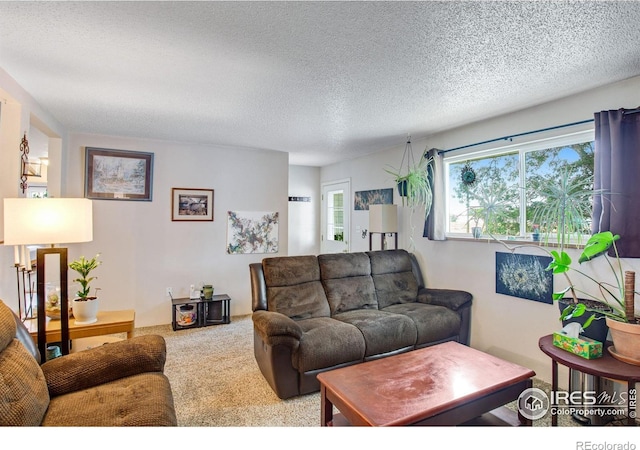 903 3rd St, Pierce, CO 80650 - photo 7